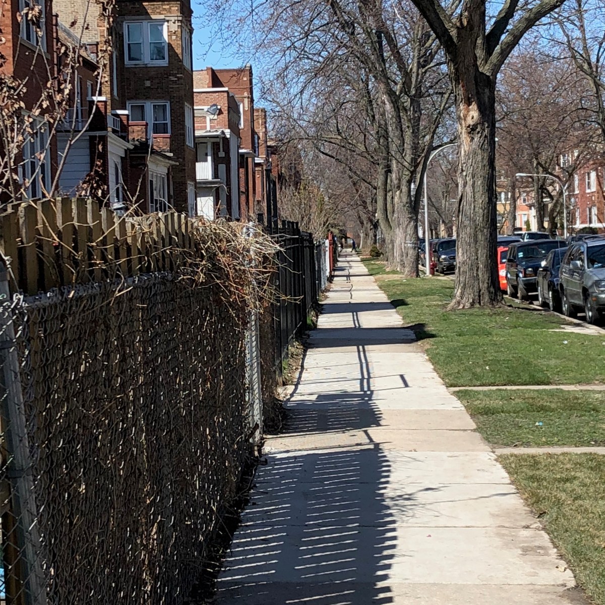 The Seed & The Soul |          Not I, A Gardener?